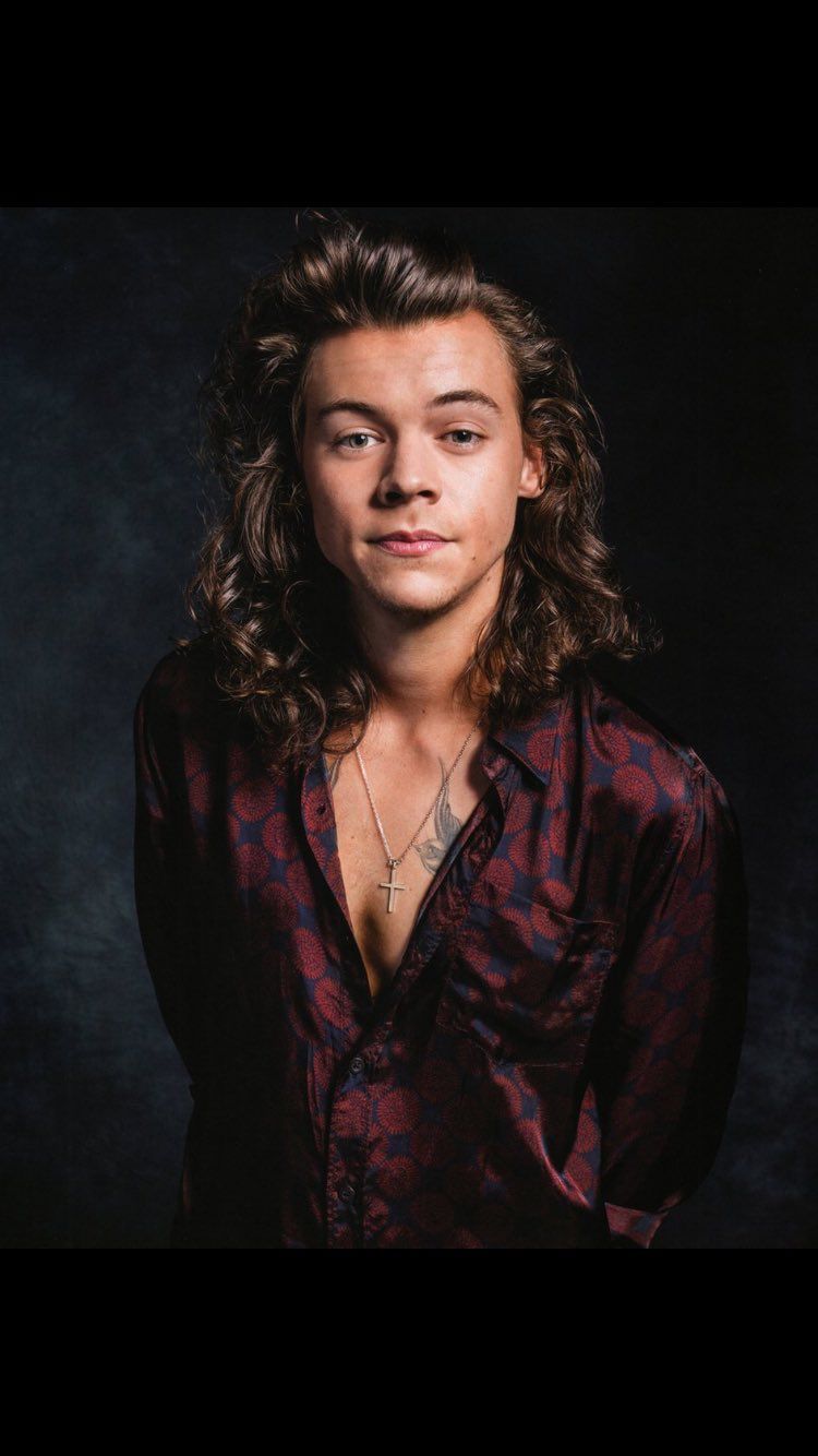 Harry Styles Or Shawn Mendes: Which Actor Aces His Long Hair To Perfection?  | IWMBuzz