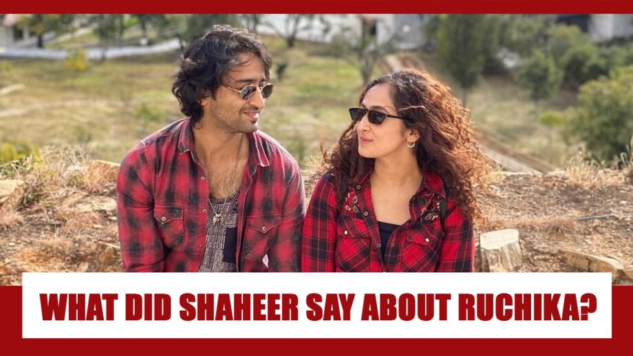 Hear What Shaheer Sheikh Had To Say About Ruchika Kapoor Being His Chosen One: Know The Love Story