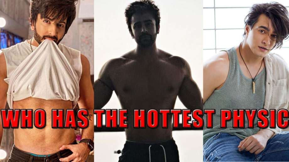 Mohsin Khan VS Dheeraj Dhoopar VS Pearl V Puri: Who Has The Hottest Physic?