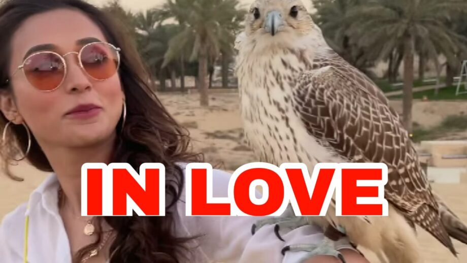 OMG: Bengali beauty Mimi Chakraborty falls in love on her Dubai trip, wants to bring home 'someone special'