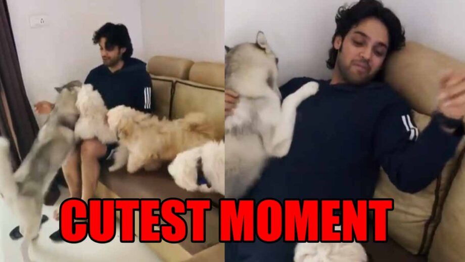 Parth Samthaan reveals cutest moment of 2020, fans love it