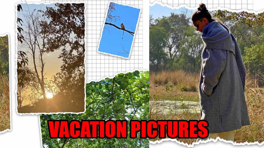 Ranthambore Diary: Deepika Padukone shares stunning unseen pictures from her vacation