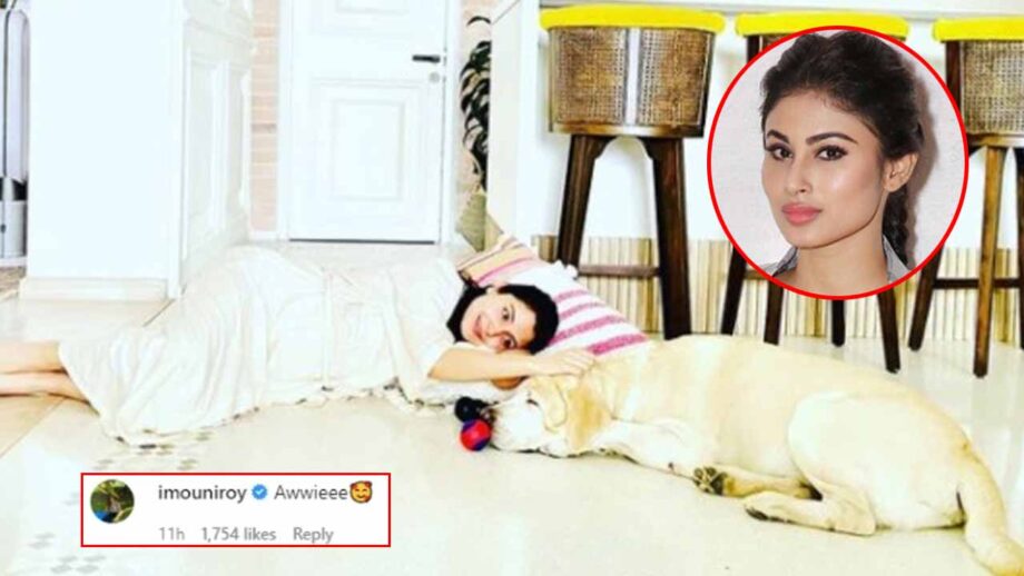 Serial Chillers: Pregnant Anushka Sharma shares cute pic with her pet, Mouni Roy comments 'awwiee' 1