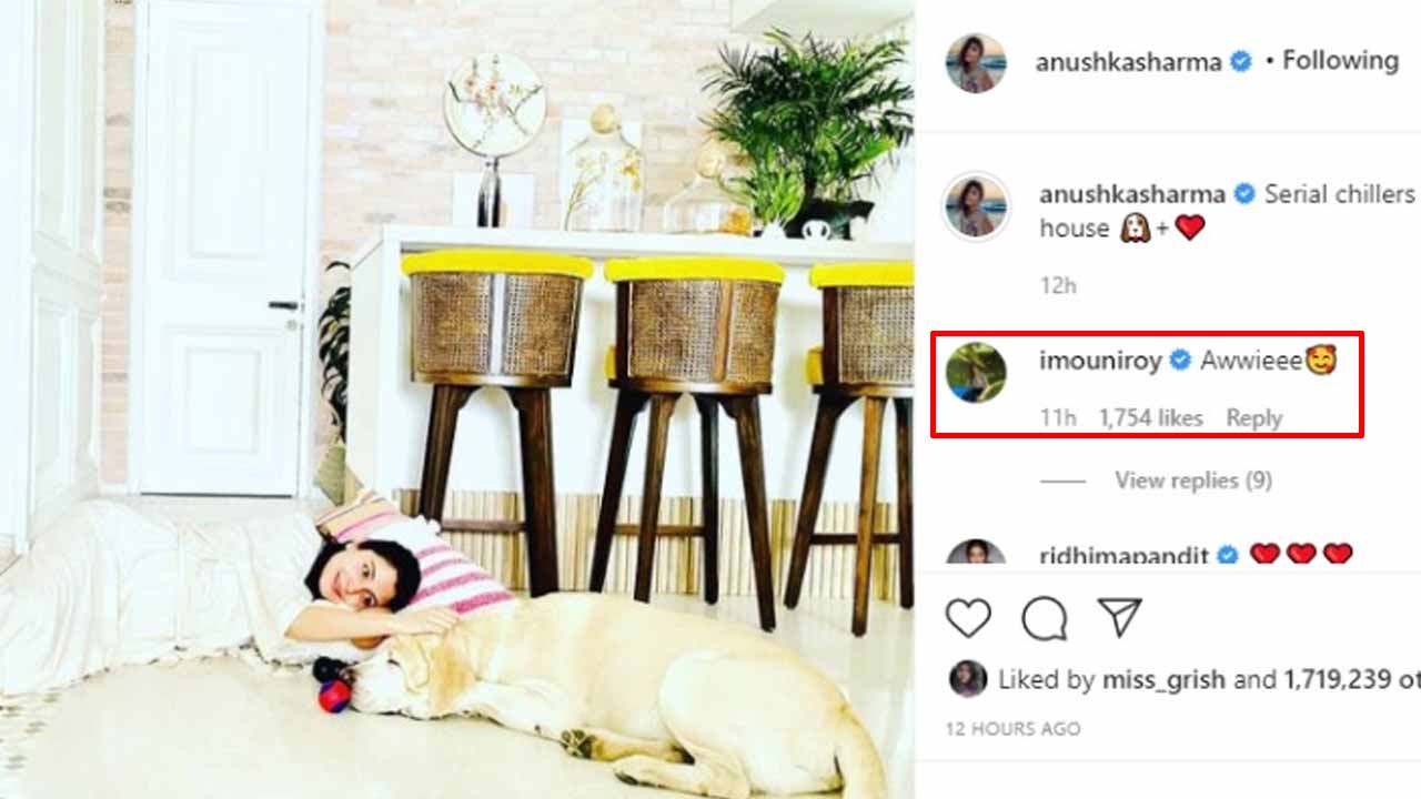 Serial Chillers: Pregnant Anushka Sharma shares cute pic with her pet, Mouni Roy comments 'awwiee'