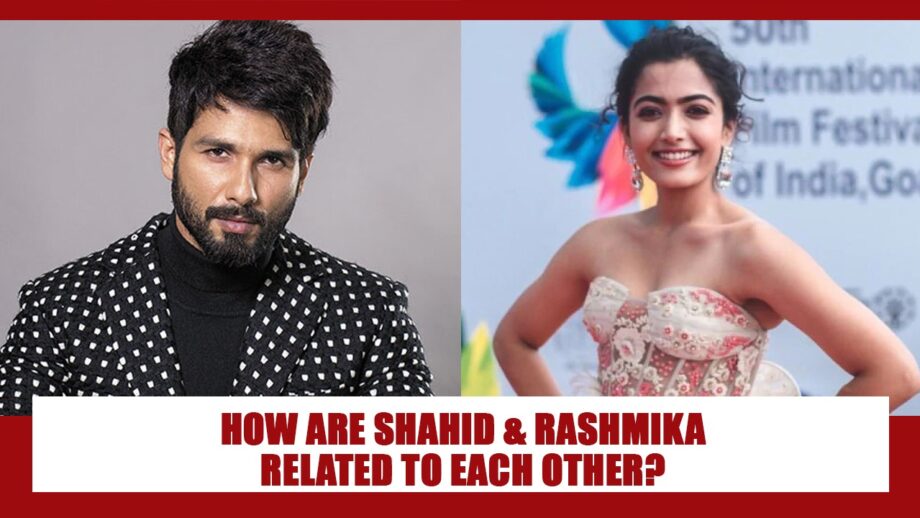 Unknown Secret Connection Between Tollywood Actress Rashmika Mandanna And Shahid Kapoor