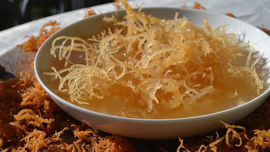 What is sea moss and why should you include it in your daily diet? | IWMBuzz