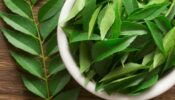 2 Reasons Why You Should Incorporate Curry Leaves In Your Diet 6