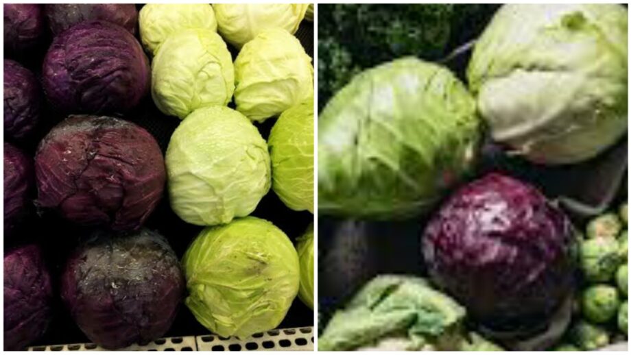 Red Cabbage VS Green Cabbage: Which One's Healthier?