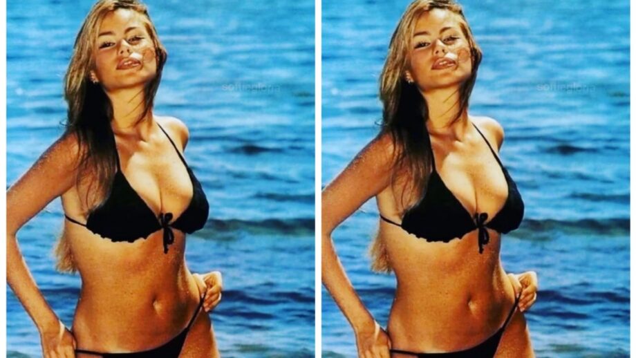 Miami Babe: Sofia Vergara shares a hot picture in a bikini, fans feel the heat