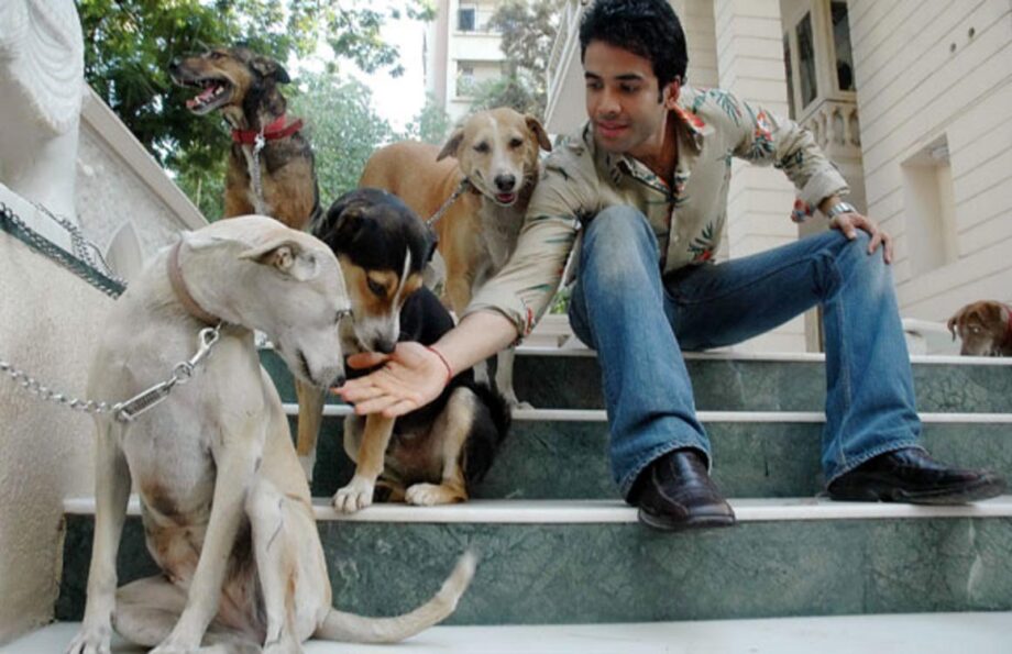 Top 5 Bollywood Actors And Their Lovely Photos With Pets: Imran Khan To Tusshar Kapoor - 1