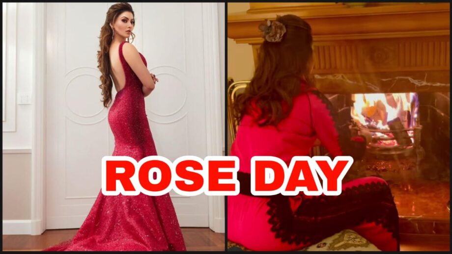 Watch Video: This is how Urvashi Rautela celebrated Rose Day