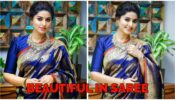 Sneha Prasanna Looks Delightful In Blue Saree With Red Border, See Pictures 340447