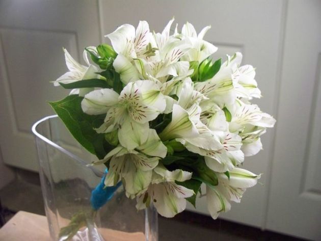 4 Types Of Beautiful Flowers By Which You Can Surprise Your Wife 766836