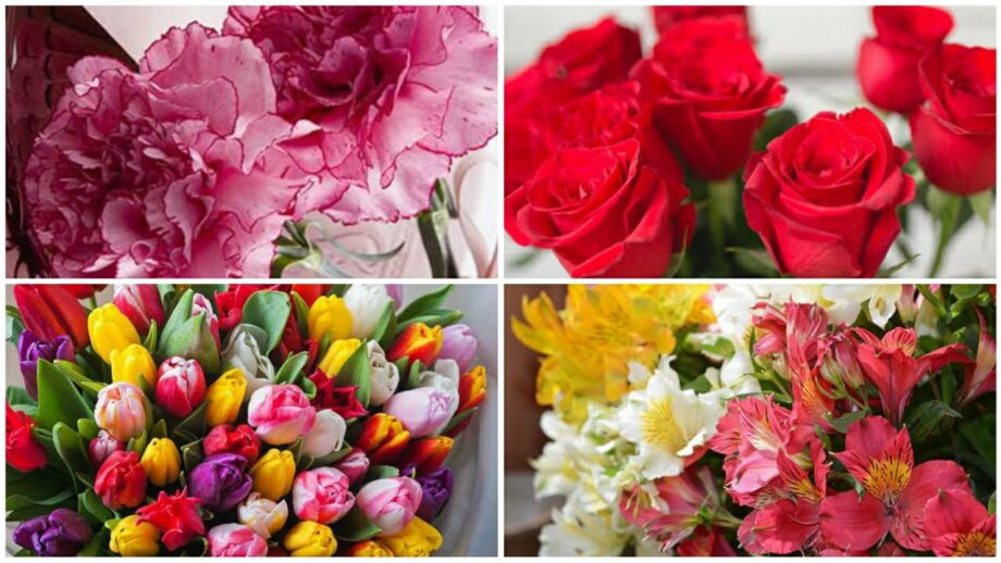 4 Types Of Beautiful Flowers By Which You Can Surprise Your Wife 367403