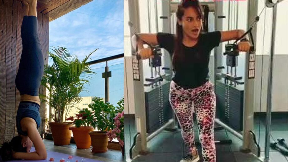 5 Attractive Gym Pants Ever Worn by Surbhi Jyoti 793349