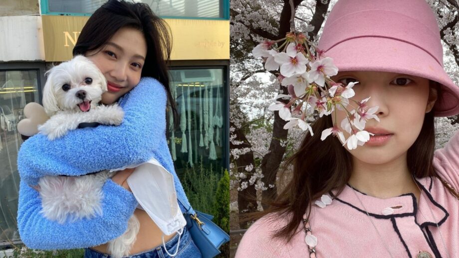 From Blackpink's Jennie To Red Velvet’s Joy: Most Adorable And Cutest Looks, Go Check Out 365975