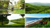 Kerala’s Gorgeous Must Visit Places 367327