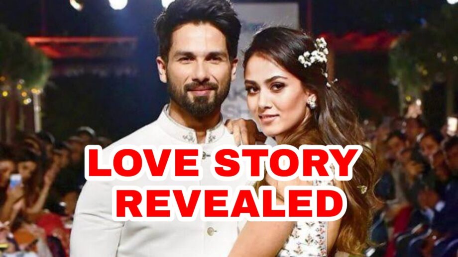 Where Did Shahid Kapoor Meet Mira Rajput For The First Time? Full Love Story Revealed 361259
