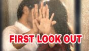 Allu Sirish & Anu Emmanuel get romantic in first look of untitled next, read details 398628