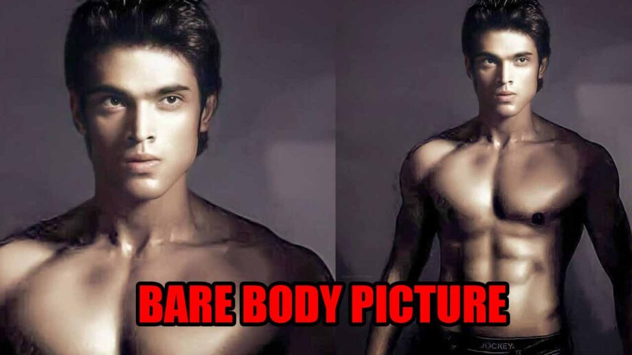 Heartthrob Parth Samthaan's Throwback Bare Body Picture Is Making ...