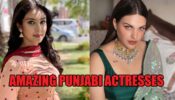5 Most Amazing Punjabi Actresses: From Navneet Kaur To Himanshi Khurana 390076