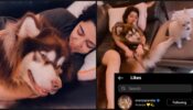 Pawsome Love: South diva Charmee Kaur shares super cute moment with pet dogs, Ananya Panday loves it 394896