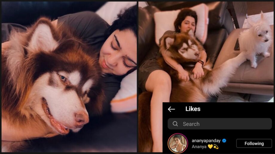Pawsome Love: South diva Charmee Kaur shares super cute moment with pet dogs, Ananya Panday loves it 394896