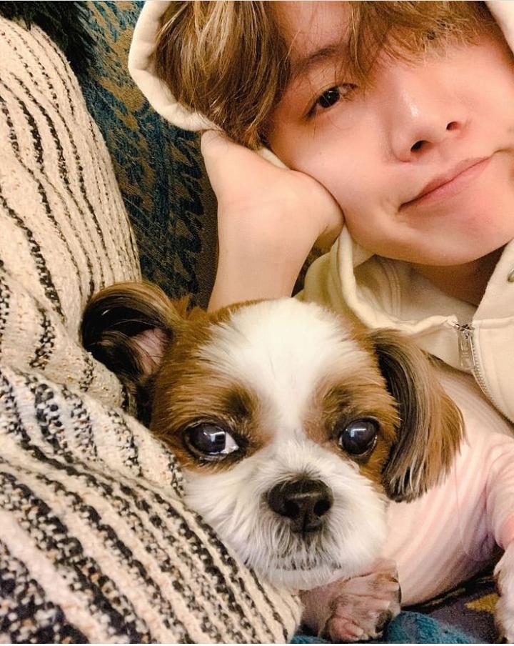 Sneak Peek- Which BTS Members Have Pets? From Kim Taehyung, Suga To RM |  IWMBuzz