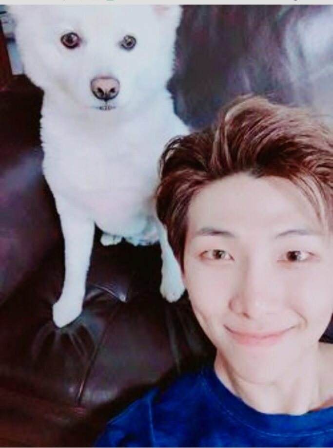 Sneak Peek- Which BTS Members Have Pets? From Kim Taehyung, Suga To RM - 2