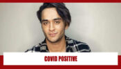Bigg Boss fame Vikas Gupta tests positive for Covid-19 404349