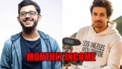 From CarryMinati To Mumbiker Nikhil: 7 Influencers And Their Monthly Income 426062