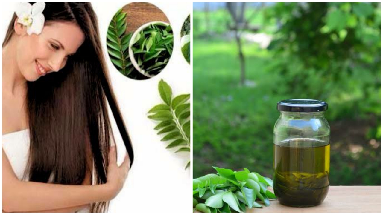 Haircare: Benefits Of Curry Leaves For Hair | IWMBuzz