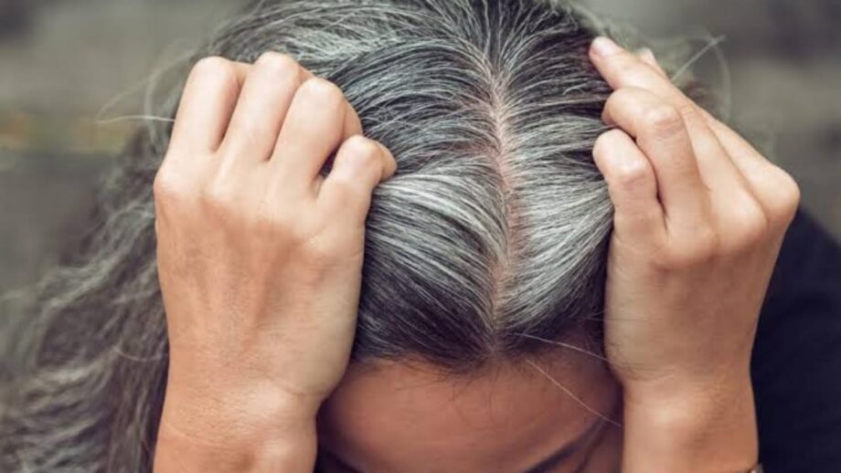 Must-Have Foods To Prevent Greying Of Hair, Check Out Here 478106