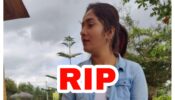 Soujanya Suicide Case: Kannada actress' father files complaint against actor Vivek and assistant Mahesh 477855