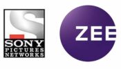 Sony Pictures Networks India Signs Exclusive Non-Binding Term Sheet With Zee Entertainment 473206