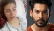 Bigg Boss fame Jasleen Matharu hospitalized after being traumatized by Sidharth Shukla's death, reveals receiving hate messages like 'Tum Bhi Marr Jao' 464007