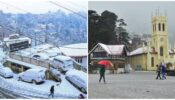 Alluring Things To Do In Shimla! Planning A Trip To Shimla? Check Out Here 469766