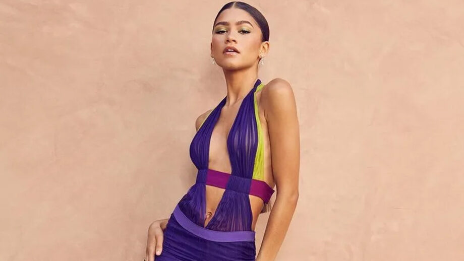 Zendaya Is Fashion Idol For All In 2021 And Here Are Photos Showing Why 480231