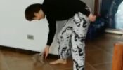 A video of a little pug and its 'hooman' indulging in a dance battle is just too cute to miss out 524268