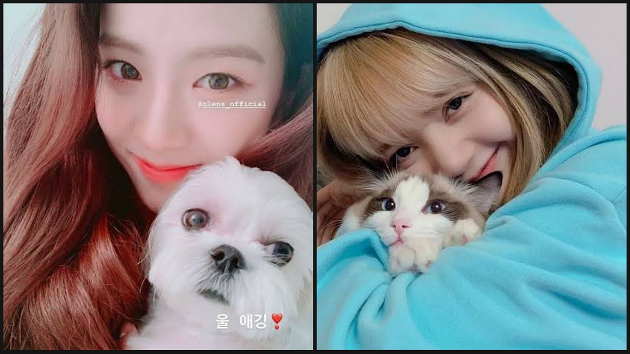 From Blackpink's Jisso To Lisa: Adorable Looks Of K-Pop Idols With ...
