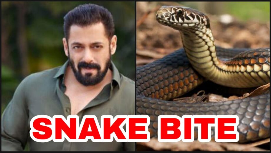 SHOCKING: Salman Khan gets bitten by snake at Panvel farmhouse