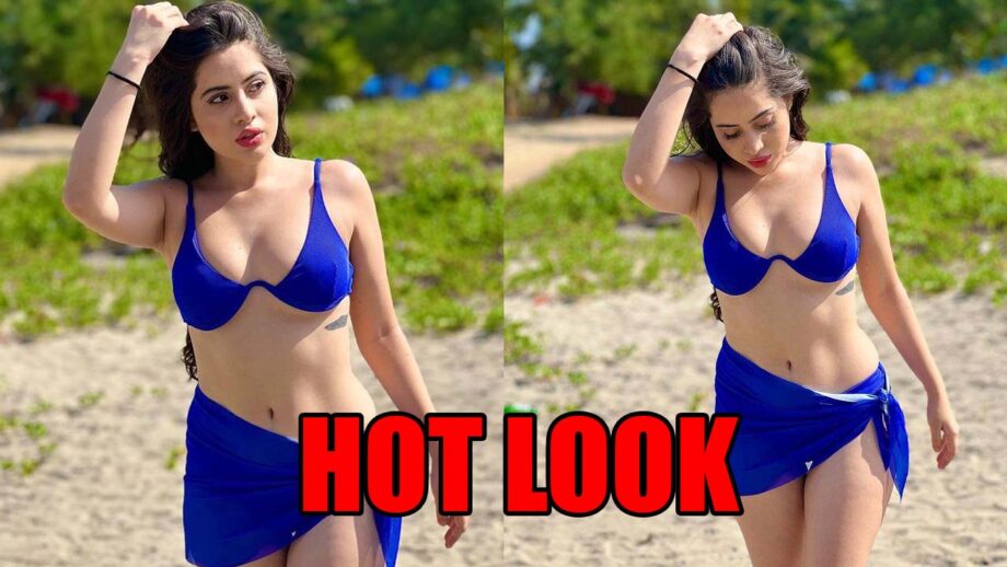 Too Hot To Handle: Urfi Javed sets the internet on fire with hot pictures in blue bikini, fans sweat 518114