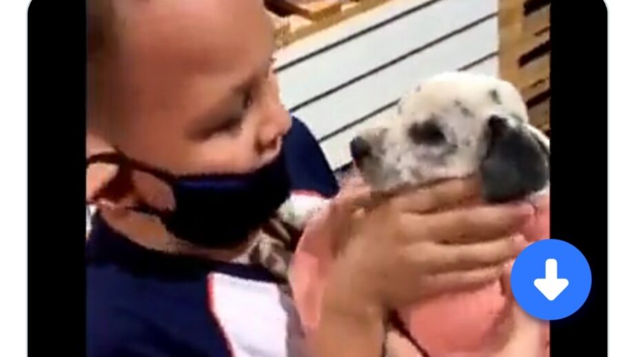 Watch: A Video Of A Little Boy Getting Emotional After Receiving A Puppy As A Gift Has Warmed The Hearts Of Thousands Of Netizens 516801