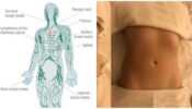 3 Movements To Improve Lymphatic Drainage 542839