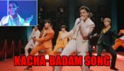 BTS X has come up with Kacha-Badam song, check below 561527