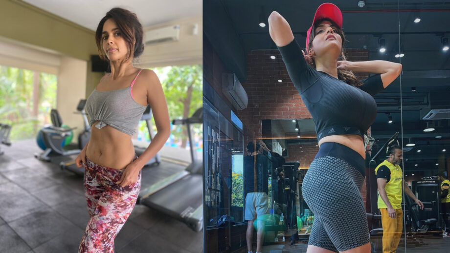 Mallika Sherawat and Anveshi Jain are fitness babes, see videos 605058