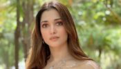 Tamannaah Bhatia's Best Dance Numbers To Add To Your Party Playlist 606556