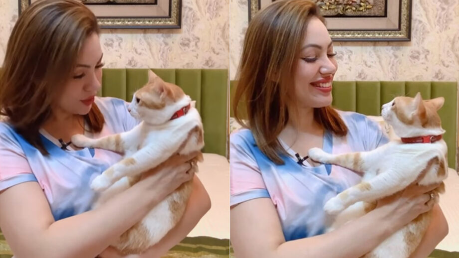 TMKOC Munmun Dutta is an animal lover in real life, see adorable moment  with cat | IWMBuzz