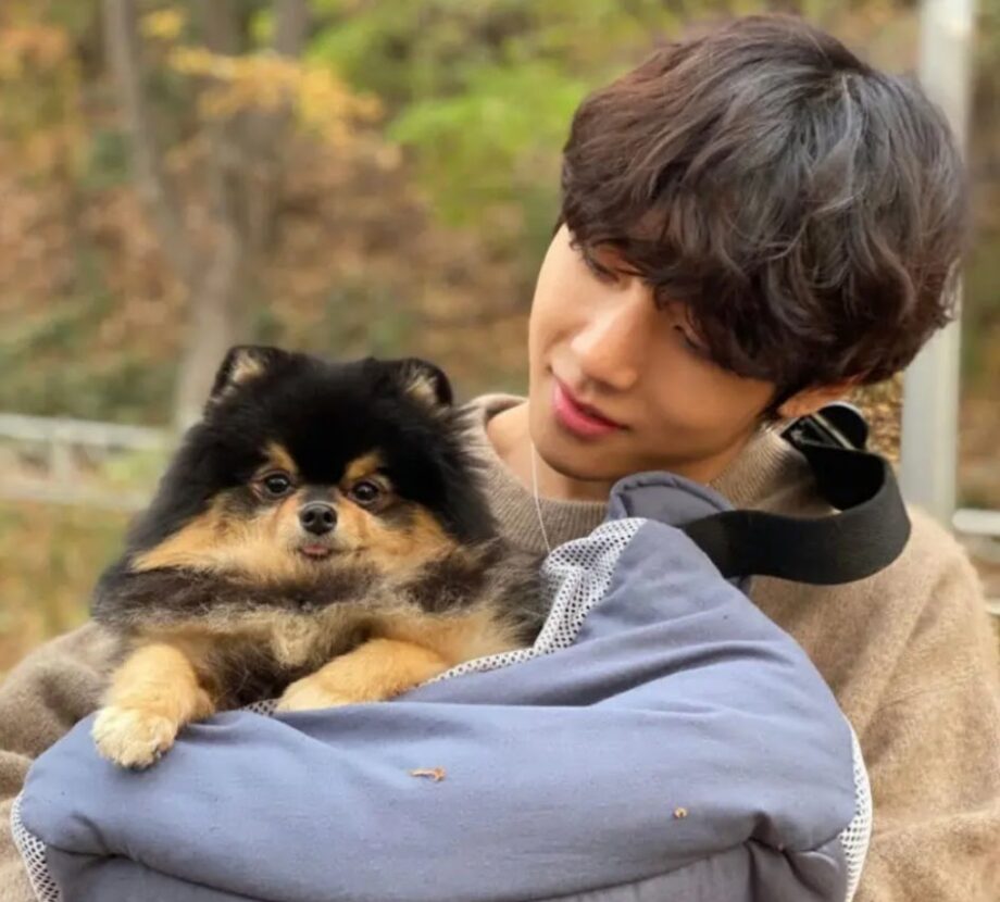 BTS V Aka Taehyung And Yeontan's Cutest Moments Together 787662