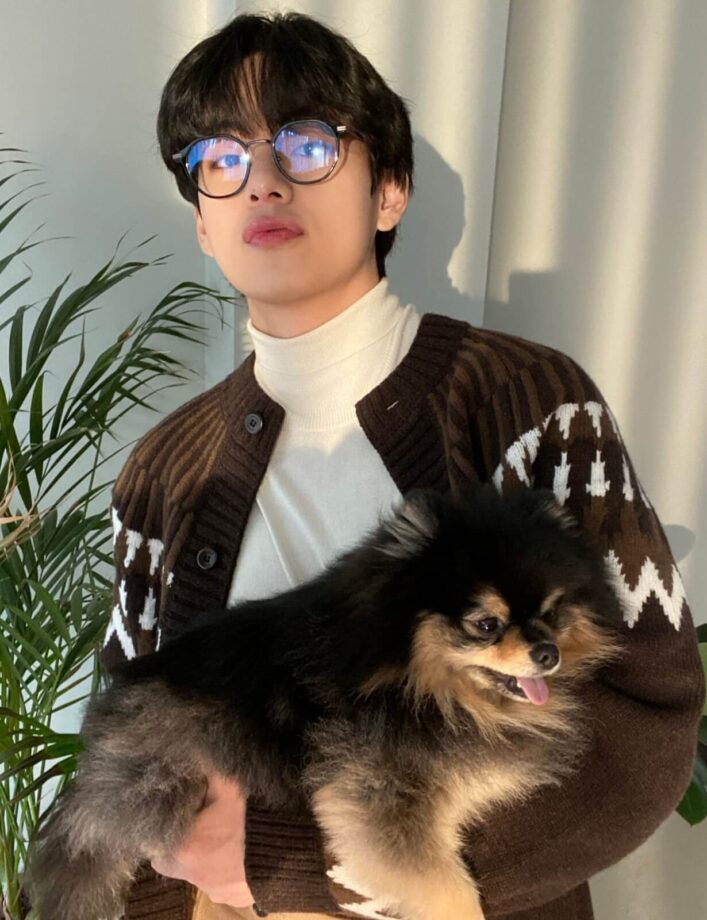 BTS V Aka Taehyung And Yeontan's Cutest Moments Together 787664